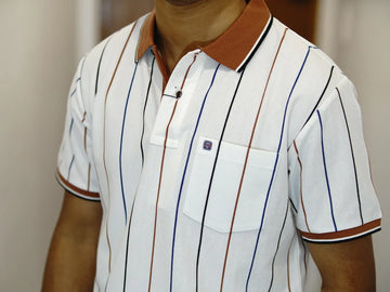 Brown and Black Stripes With Brown Collar